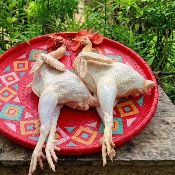 Native Chicken King Size